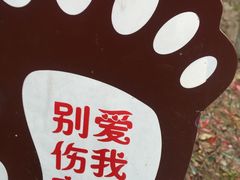 -重庆彩云湖湿地公园