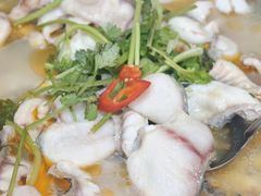 -大鼎石锅鱼(春江里店)