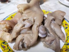 -丁老爷子苏香圆