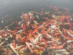 -北戴河圣蓝海洋公园
