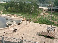 -青藏高原野生动物园