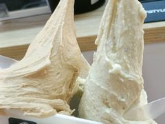 -野人先生现做冰淇淋(北京环宇荟店)