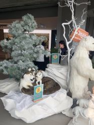 -IMON·HANSA潮玩玩偶毛绒玩具(通州万象汇店)