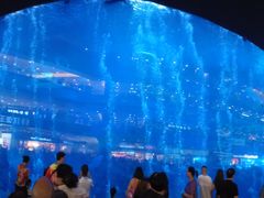 -成都浩海立方海洋公园