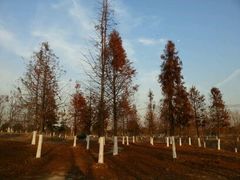 android_upload_pic-中国药科大学（江宁校区）综合门诊部