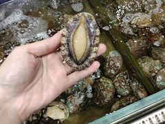 -泉州丰泽新华都百货(丰泽广场店)