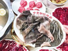 -合意桐坑牛肉粿·鲜牛肉火锅(嵩山总店)