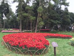 -保利石象湖景区