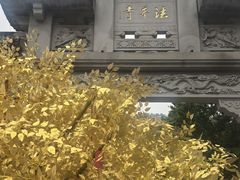-灵顺寺