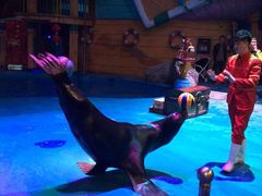 -烟台海昌鲸鲨海洋公园