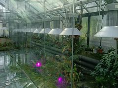 -国家植物园南园