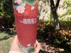 -鸡鸣赐茶(鸡鸣寺路店)