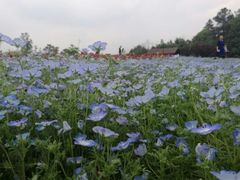 -保利石象湖景区