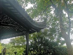 -杭州西子湖四季酒店-WL BISTRO西湖餐厅(灵隐路店)