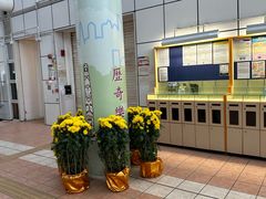 -九龙公园