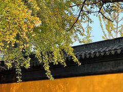 -西园戒幢律寺