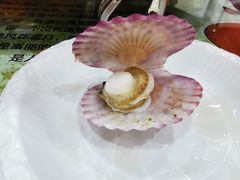 -名超海鲜烧烤大排档