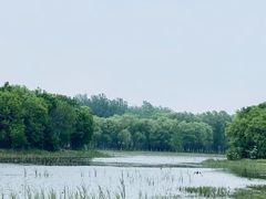 -东郊湿地公园