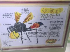 -上海昆虫博物馆