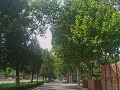 -大团圆饺子馆(平谷北环路店)