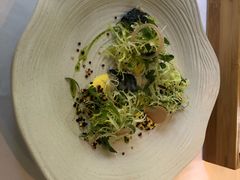 -蝶舍·MAISON PAPILLON