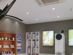 -关爱宠物医院·猫科中心·消化科(滨湖万达分院)