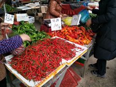 -树木岭集贸市场(劳动东路)