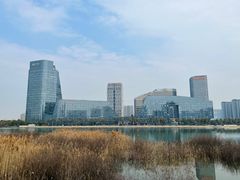 -金沙湖公园