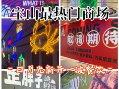 -宝山日月光中心