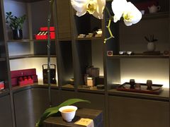 -王德传茶庄(上海新天地店)