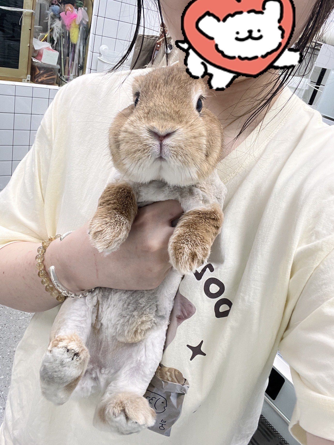 避免中暑,一举多得
可爱又清凉[点赞]#兔子美容 #兔子美容造型济