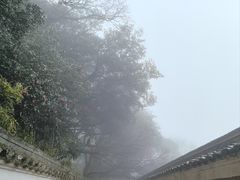 -普陀山风景区-佛顶山