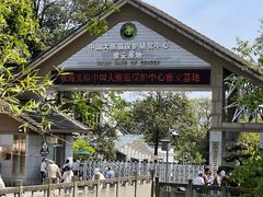 -中国大熊猫保护研究中心雅安碧峰峡基地