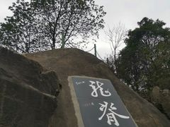 -南山植物园