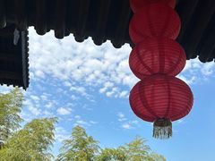 -大唐贡茶院