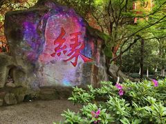 -杭州黄龙洞