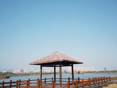 -三垟湿地