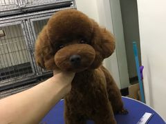 -沐沐家宠物(成寿寺店)