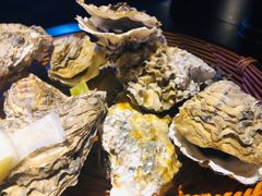 -西街夜油条·麻团包乌饭
