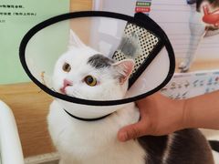 -美联众合动物医院·24h京西诊疗中心