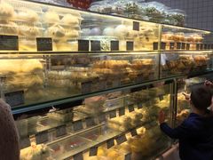 面包甜点陈列柜-白玉兰食品甜凤店(合生汇店)