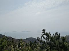 -怪坡茶馆