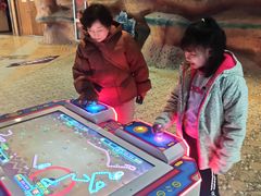 -东方山水金沙酒店-雅香阁中餐厅