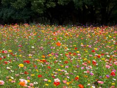 -共青国家森林公园-售票处