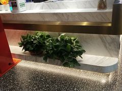 -豆花姐烂豆花火锅(御碑楼路乐园小区店)