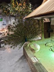 -Zoolung Zoolung动物主题公园(海信广场店)