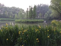 济南森林公园-济南森林公园