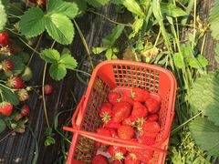 -上海多利农业发展有限公司