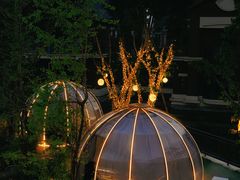 包房-悦见花开·花园里的火锅·露营·下午茶