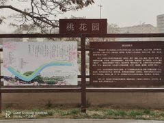 -桃花堤公园